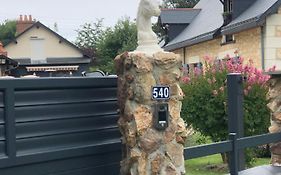 Un Coin De Paradis
